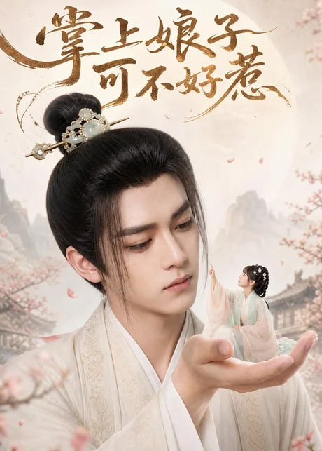 掌上娘子可不好惹